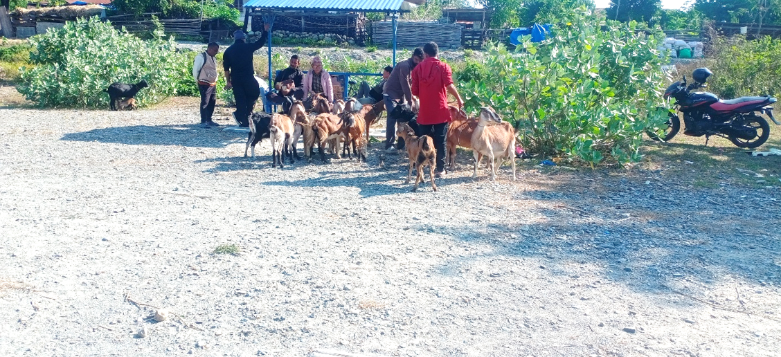 Agriculture and Animal Development